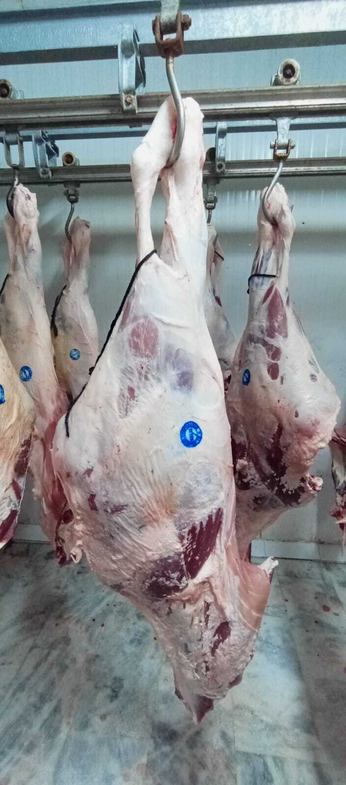 Global Food Sourcing